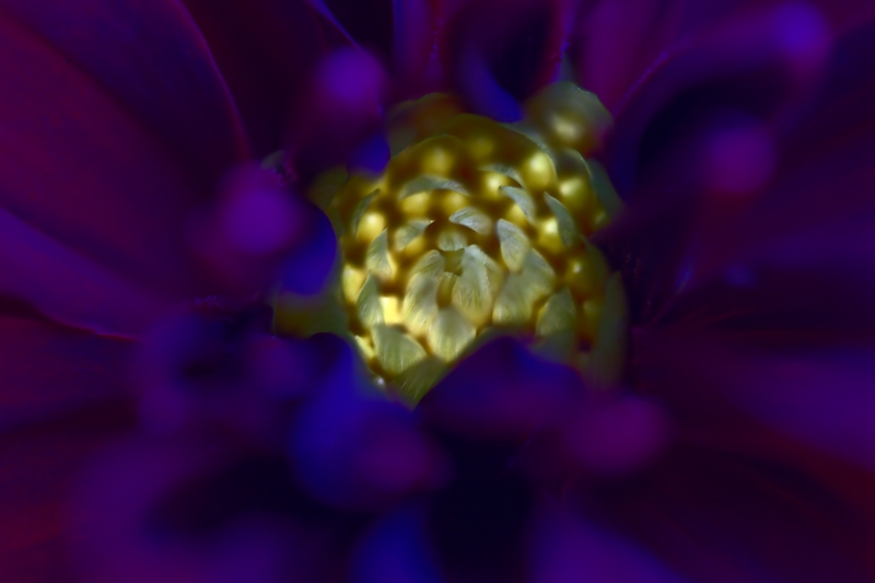 Lampi Di Luce Da Dentro