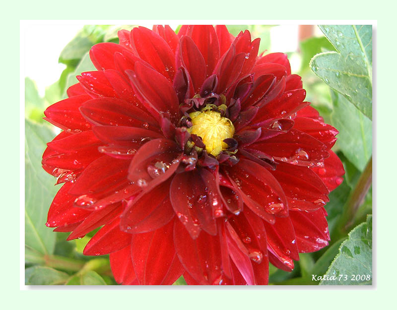 Rosso dopo la pioggia