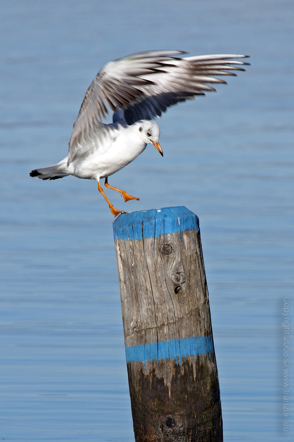 ATTERRAGGIO DI PRECISIONE