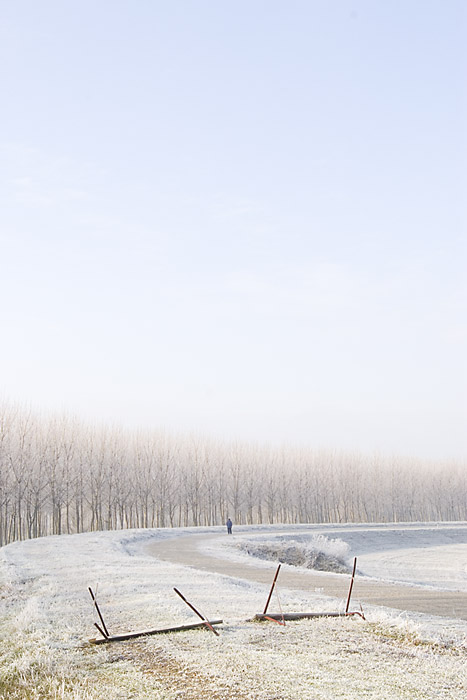 Argine S. Martino, Viadana, Dicembre 2008