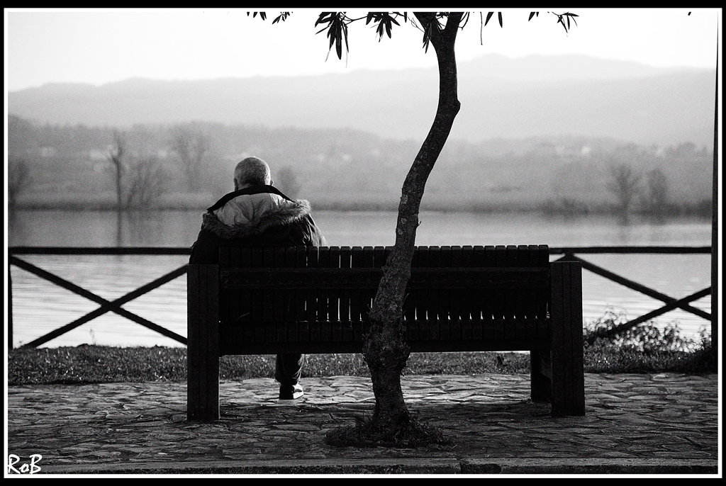 Sulla panchina (3)