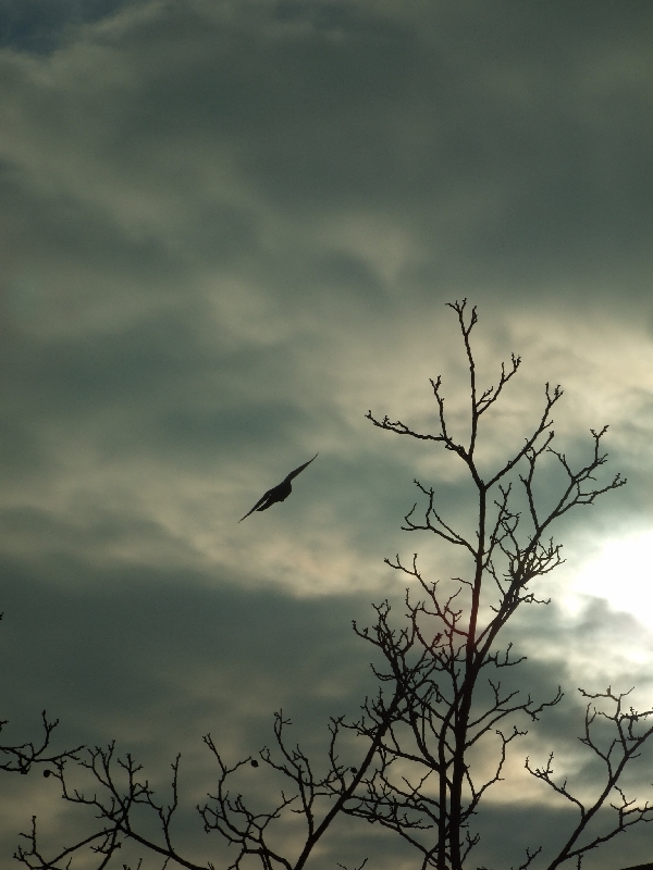 temporale in arrivo..