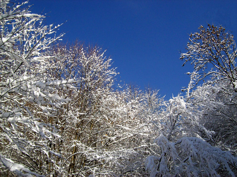 ..di sole e d'azzurro..