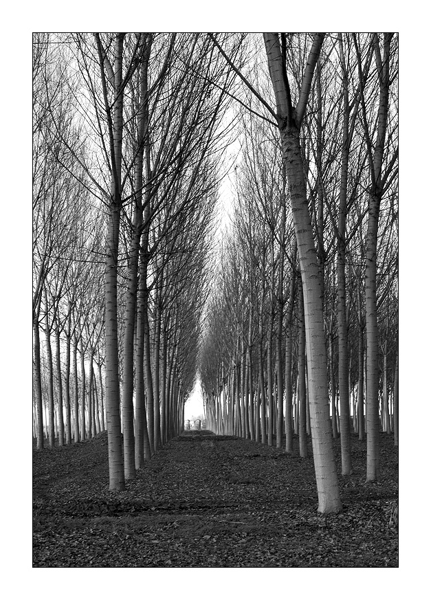 e c'� sempre li quello che....