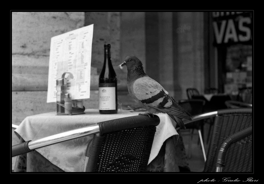 Cameriere vorrei il conto...