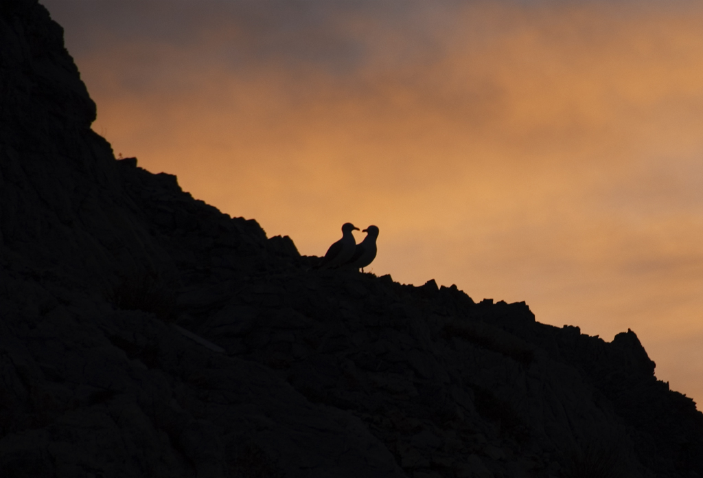Due cuori...una scogliera