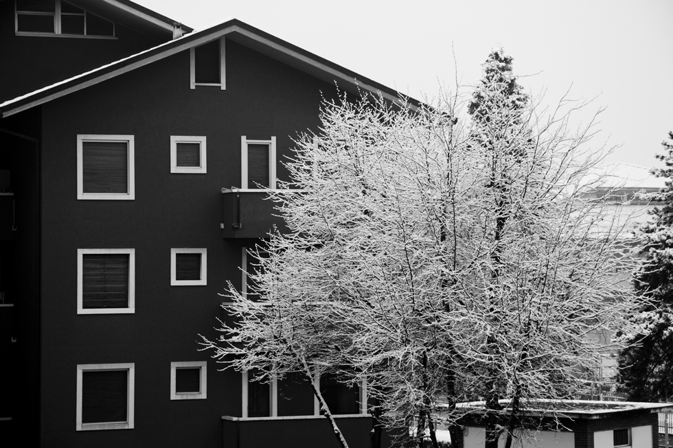 Mattina di capodanno