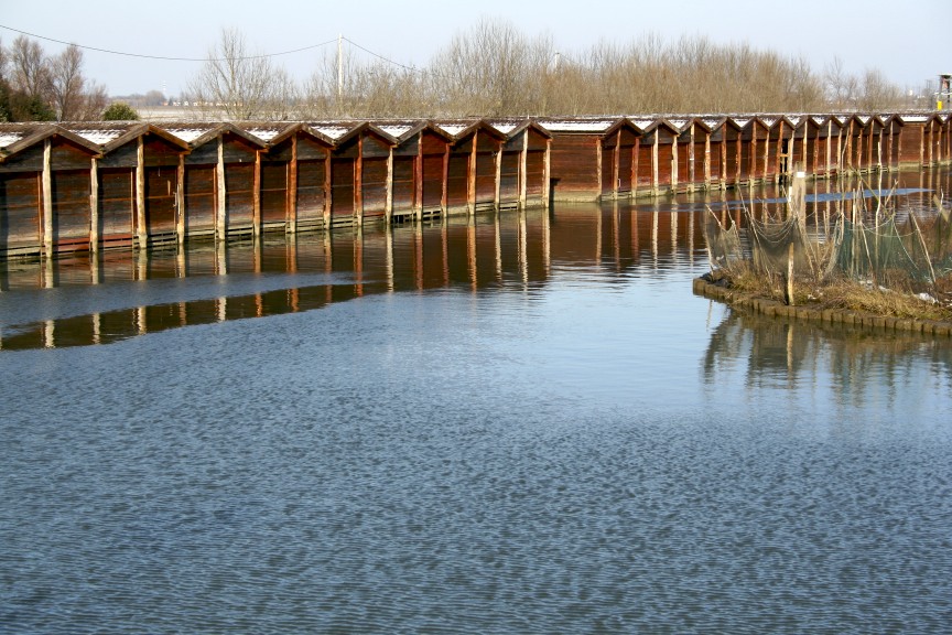 Laguna 3