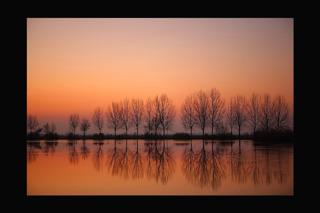 Valli di Ostellato Ferrara