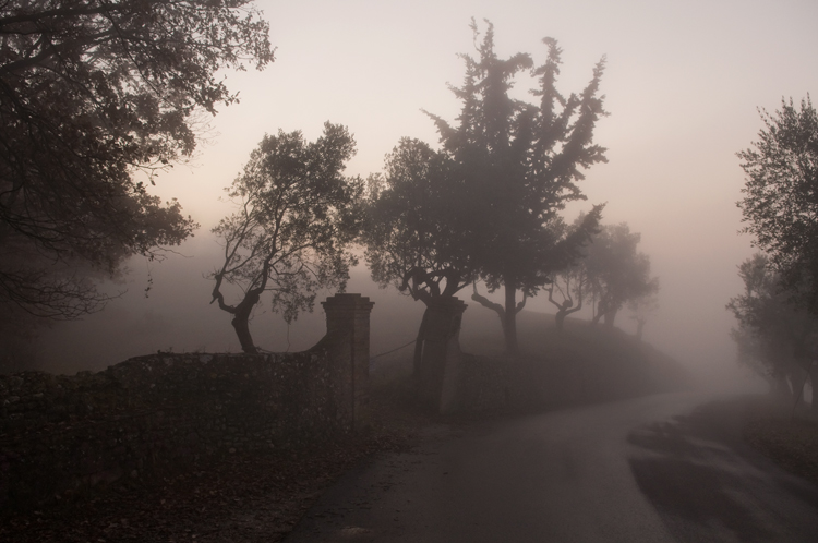 Soffice pomeriggio d'inverno