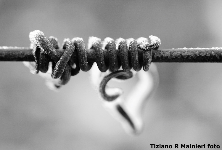 Sei mio (riccioli di ghiaccio)