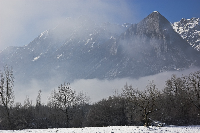 La nebbia a gl'irti colli.......