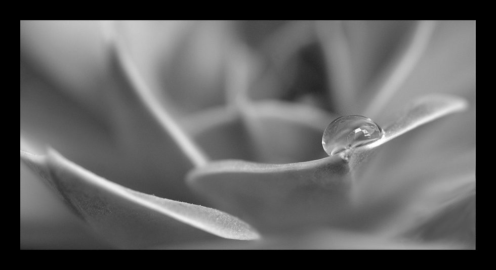 goccia in equilibrio precario