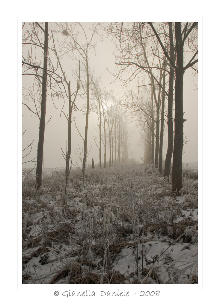 Il gelo dell'INVERNO