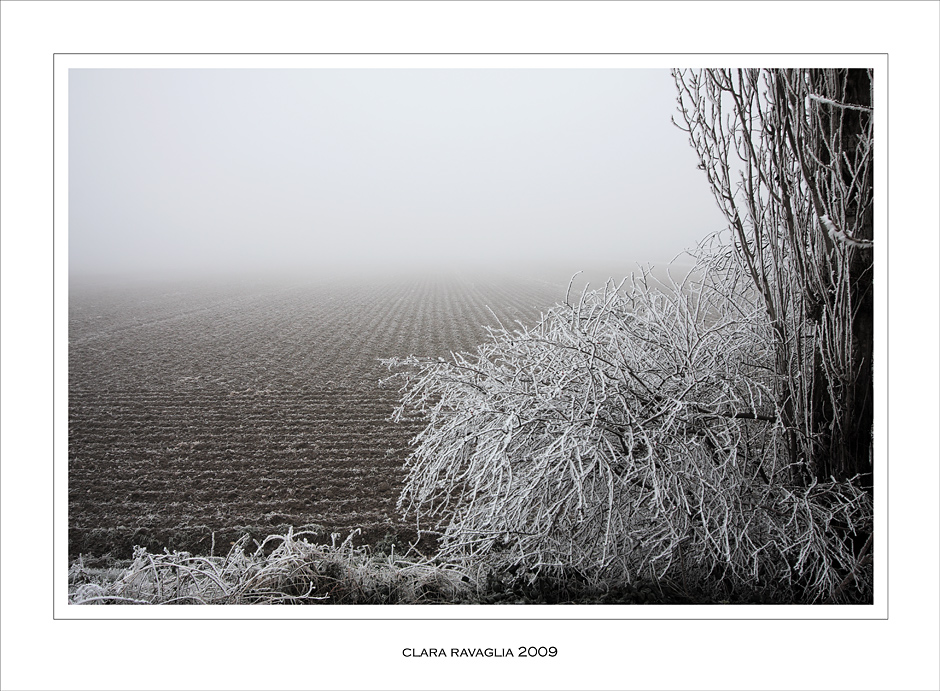 Il mio mondo... in bianco