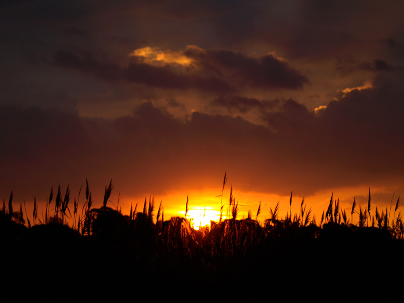L'Alba di un nuovo giorno