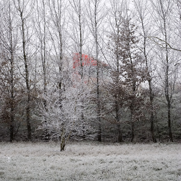 Nebbia e neve a Viadana, 2009
