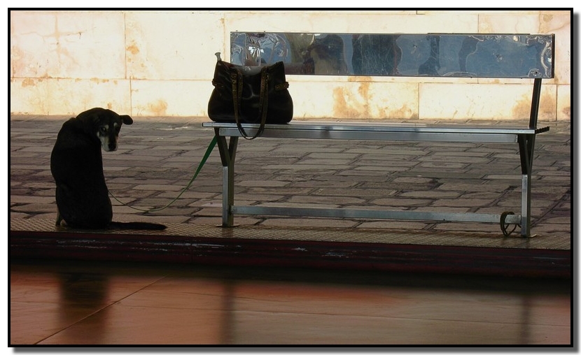 offeso.....ma non troppo