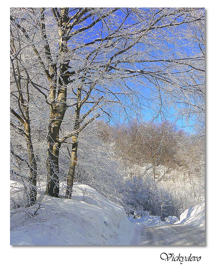Via innevata al ritorno