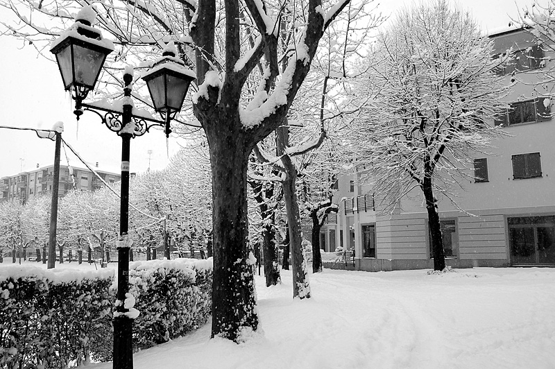 Viale Piazza d'Armi a Pinerolo
