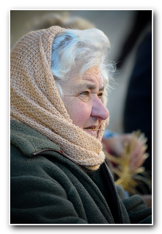 November pork. Zibello