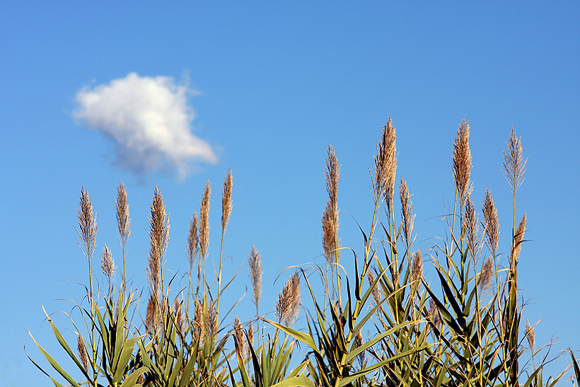 Ma che bella giornata di sole!!!