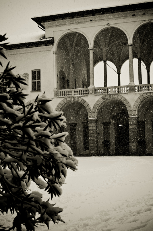 Oggi come allora n�2