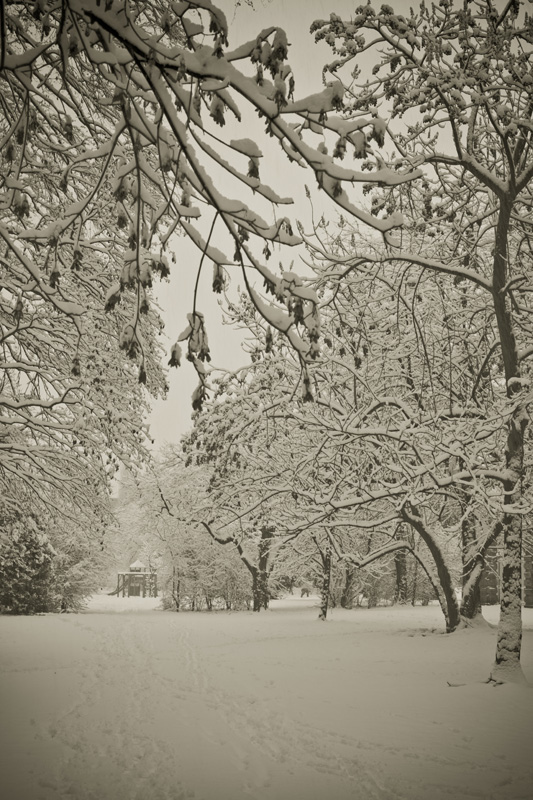 Oggi come allora n�6