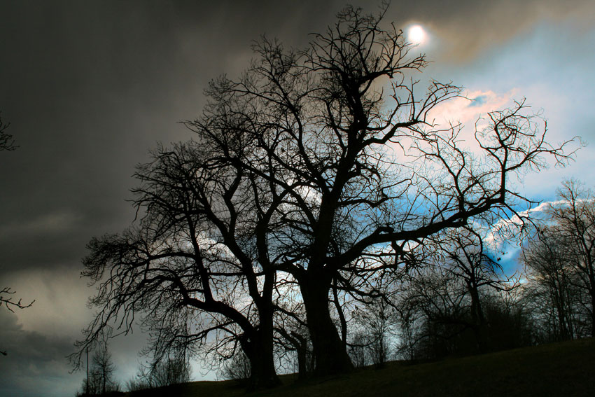 c'� una stella lass�