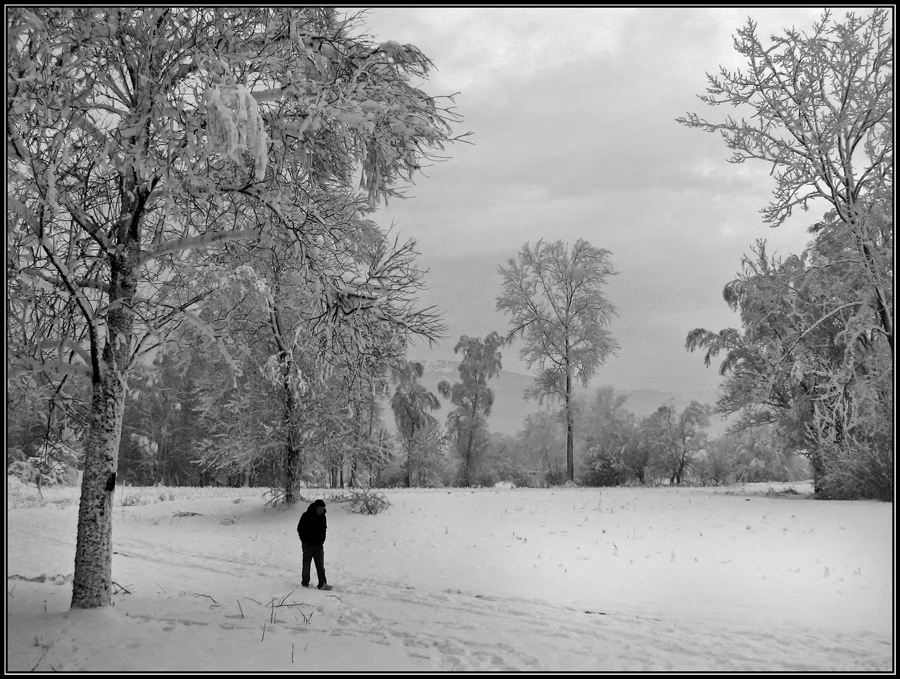 ...  passeggiata al gelo ...