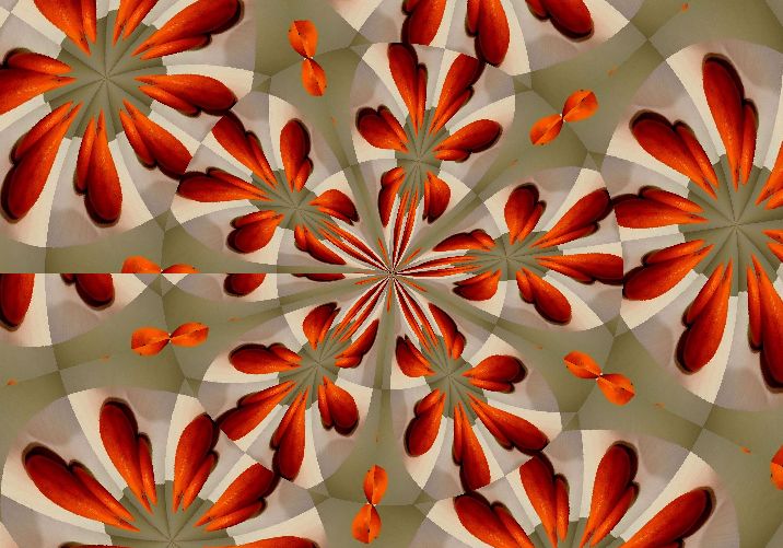 fiori ...di arance..