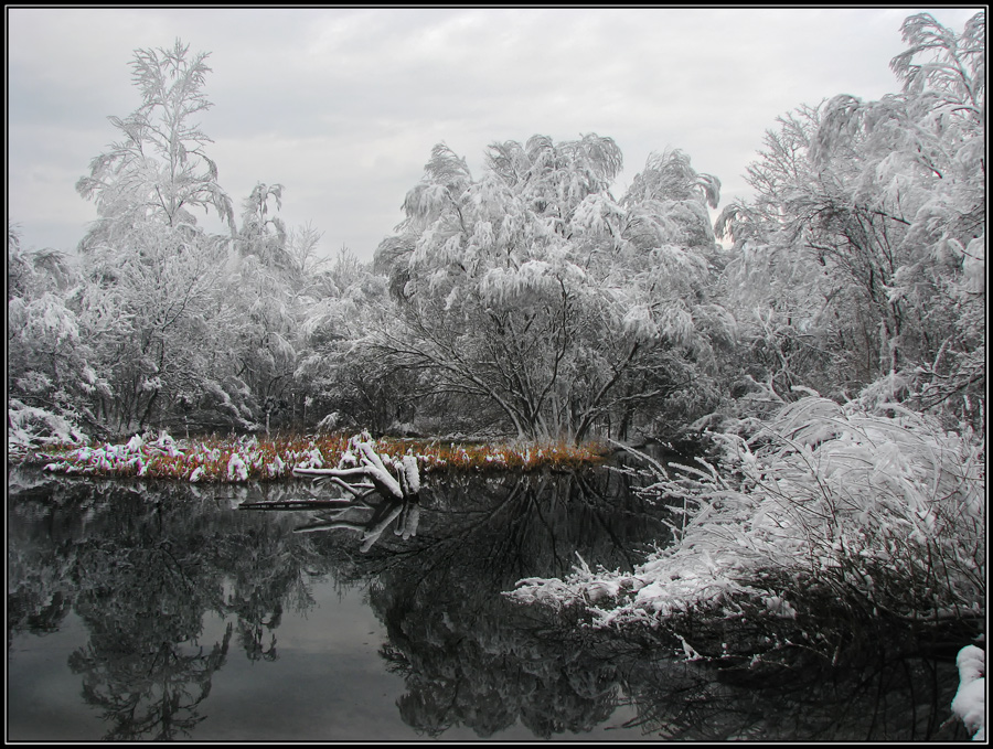 . . . riflessi ghiacciati ...