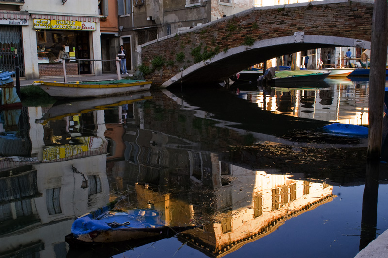 chioggia
