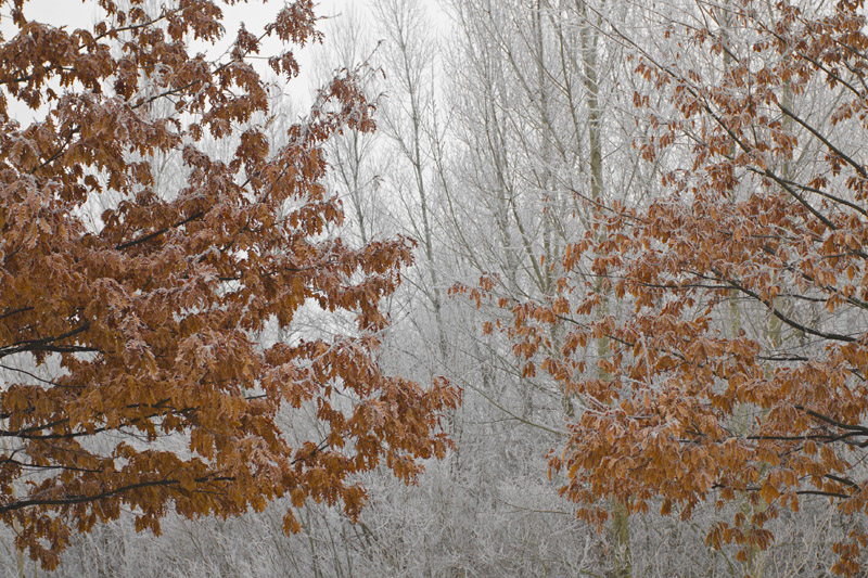 Colori caldi ...colori freddi