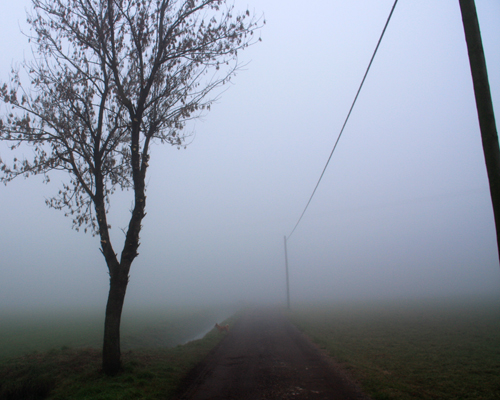 Nebbia in pianura