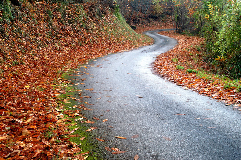 curve sinuose.....fianchi di donna