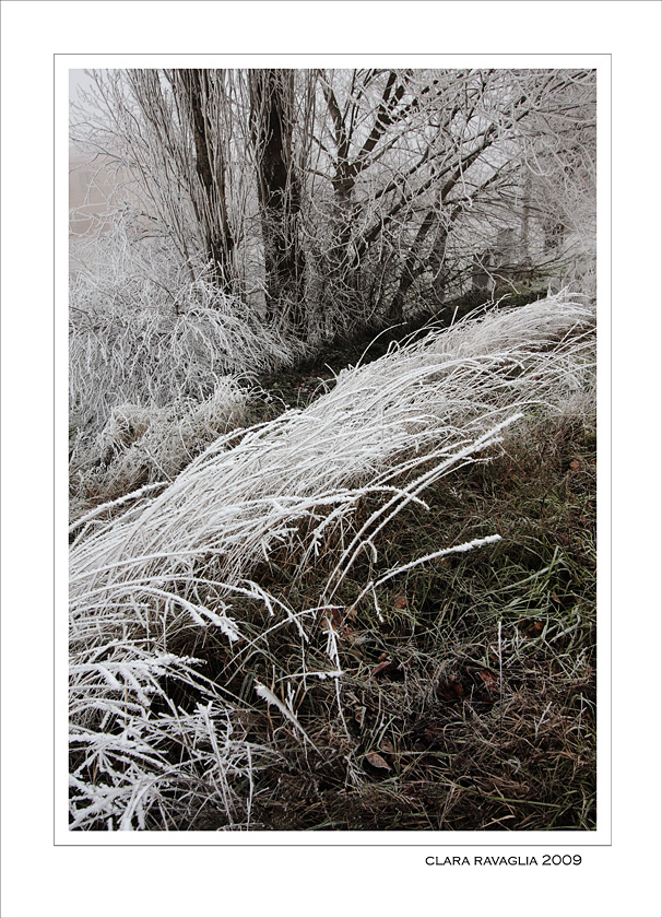 L'onda....di ghiaccio