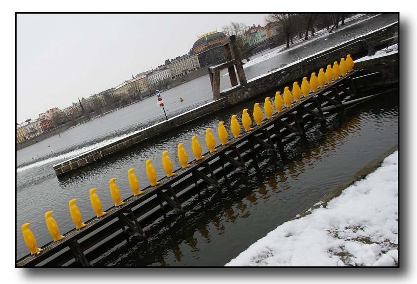 In fila per un bagno