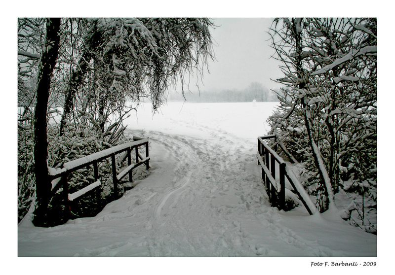 Parco Groane - Bollate