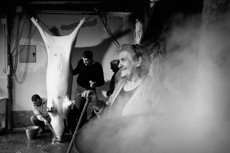 macellazione di un maiale