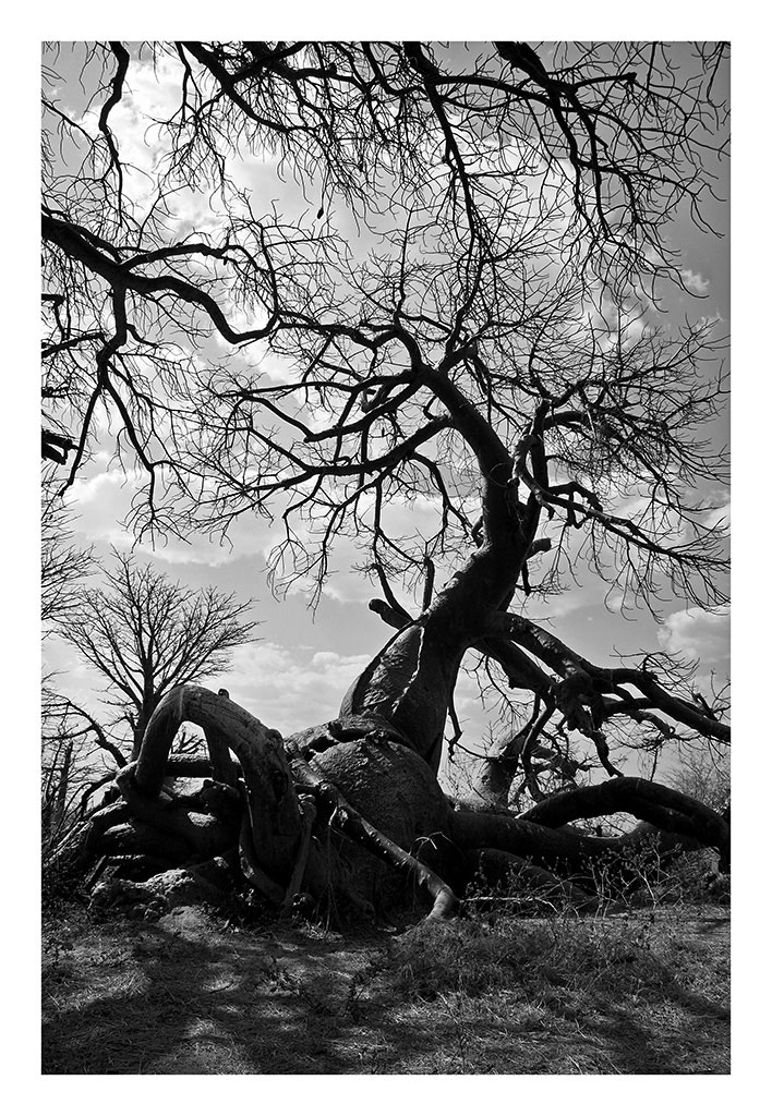 contorsioni naturali