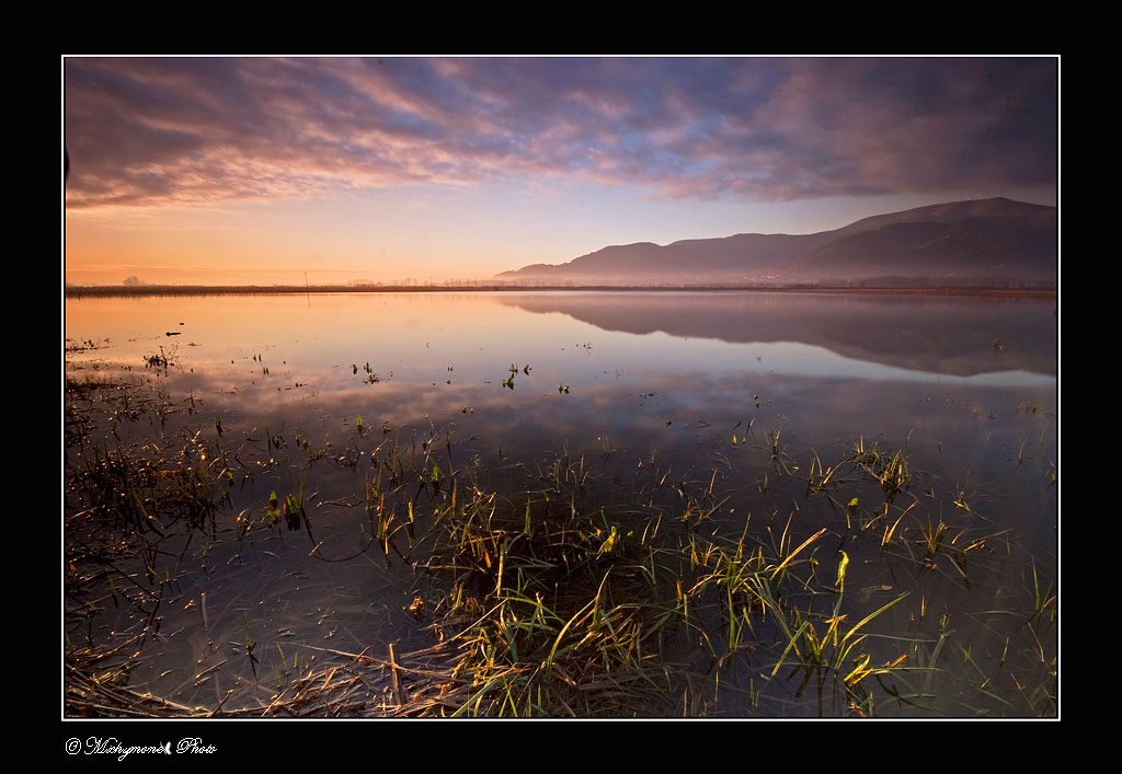 ....the light of the day