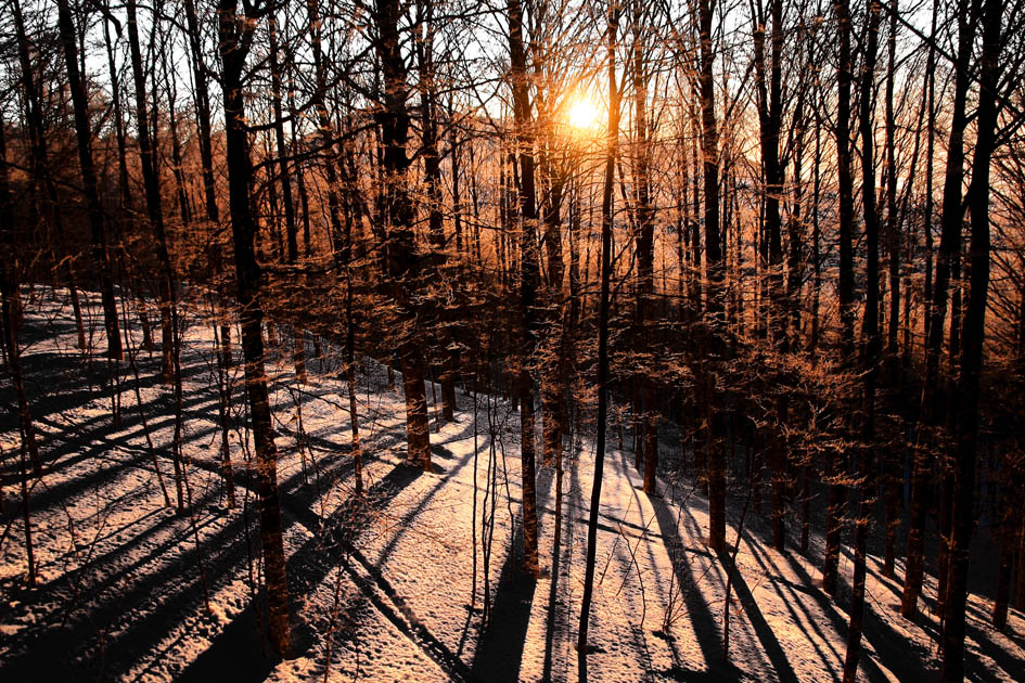 PAESAGGIO MONTE AMIATA GENNAIO 2009
