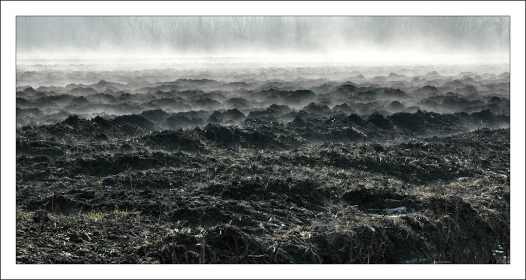 Lo giorno se n'andava, e l'aere bruno