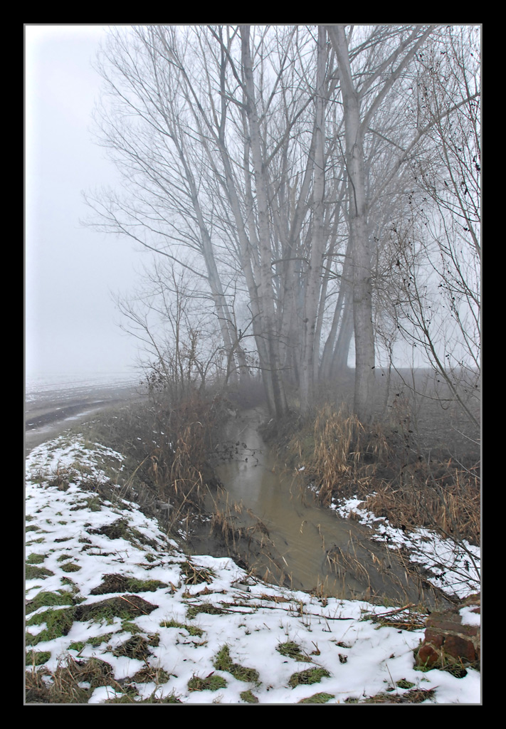 I Colori dell'Inverno 2