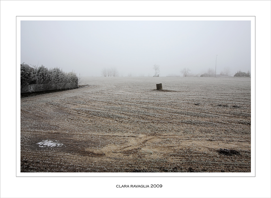 In letargo.... (la curva del pozzo)