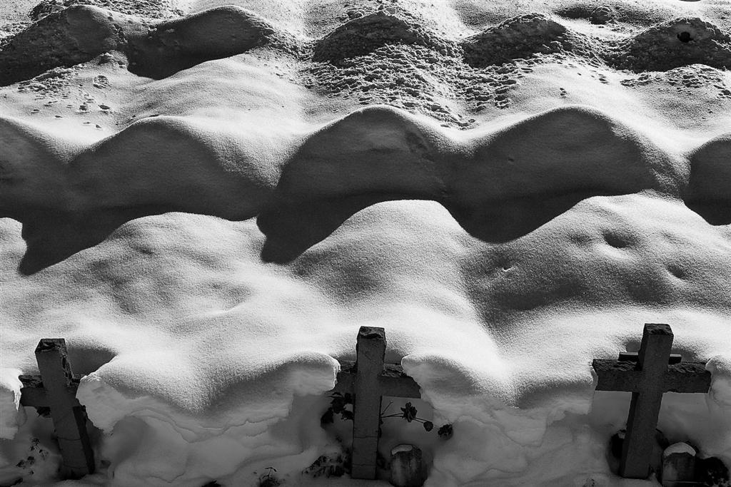 Contest: Citt� angoli nascosti - Brividi