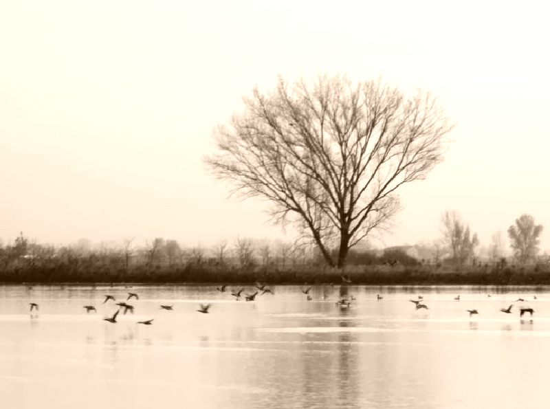 oasi "Il Torrazzuolo" Nonantola