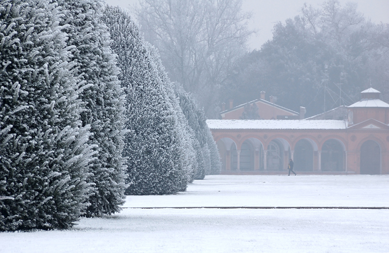 Neve sulla citt� dei morti (foto ultimo contest)