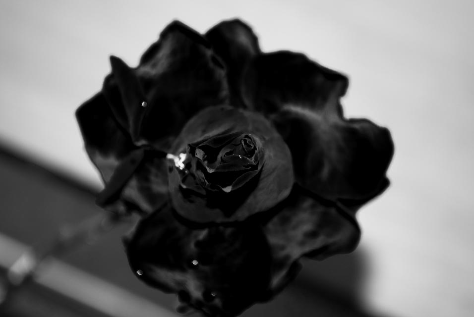 dark..and beautiful